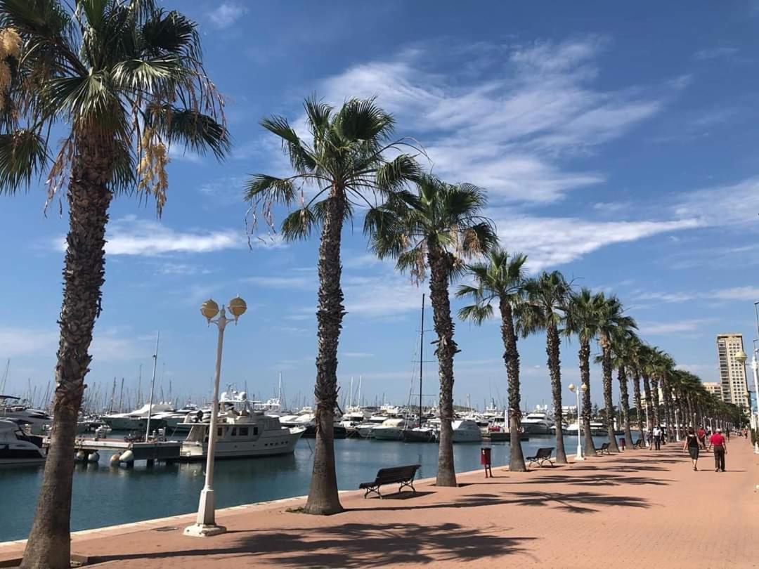 Estudio De Lujo Casaturis En El Corazon De Alicante A114 Zewnętrze zdjęcie
